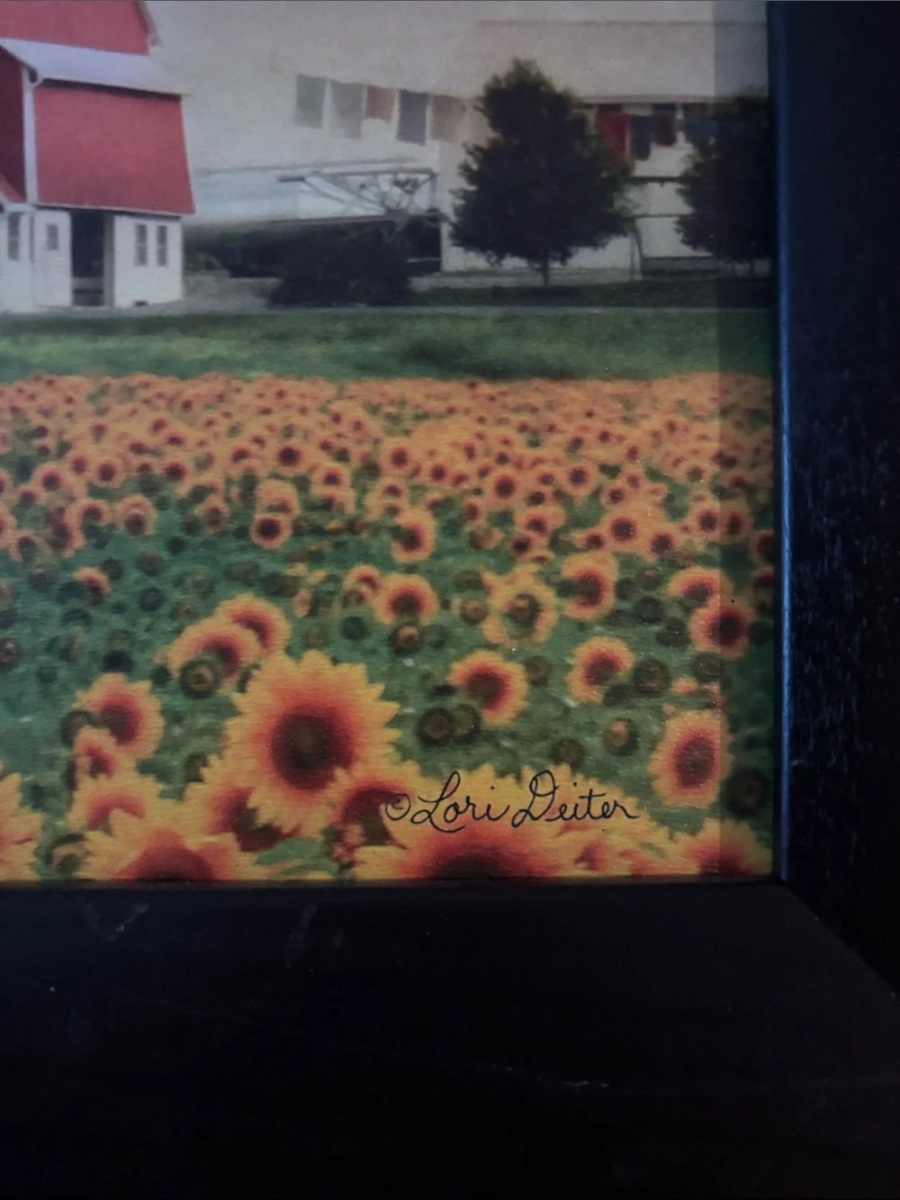 Framed Sunflower Field Wall Signed Art- USA made 27*11
